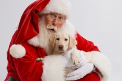 Santa20080008720080821