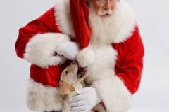 Santa20080009120080821
